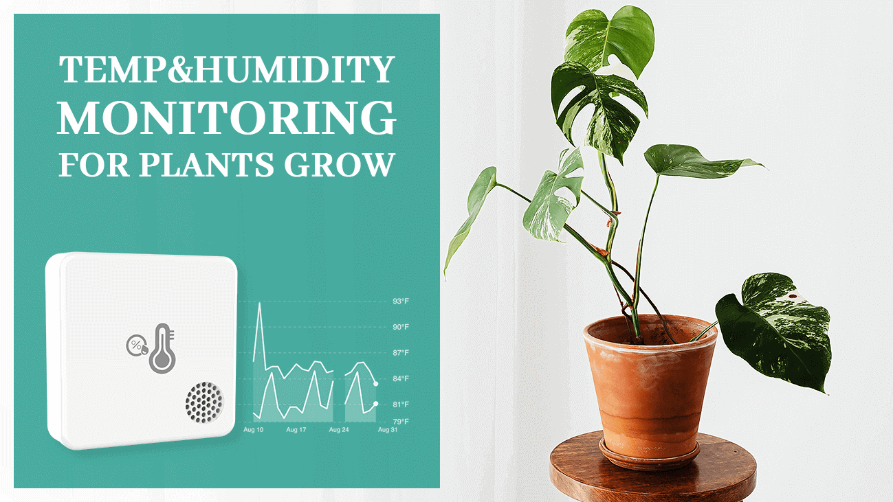 https://mocreo.com/wp-content/uploads/2023/09/Temphumidity-monitoring-for-plants-grow.png