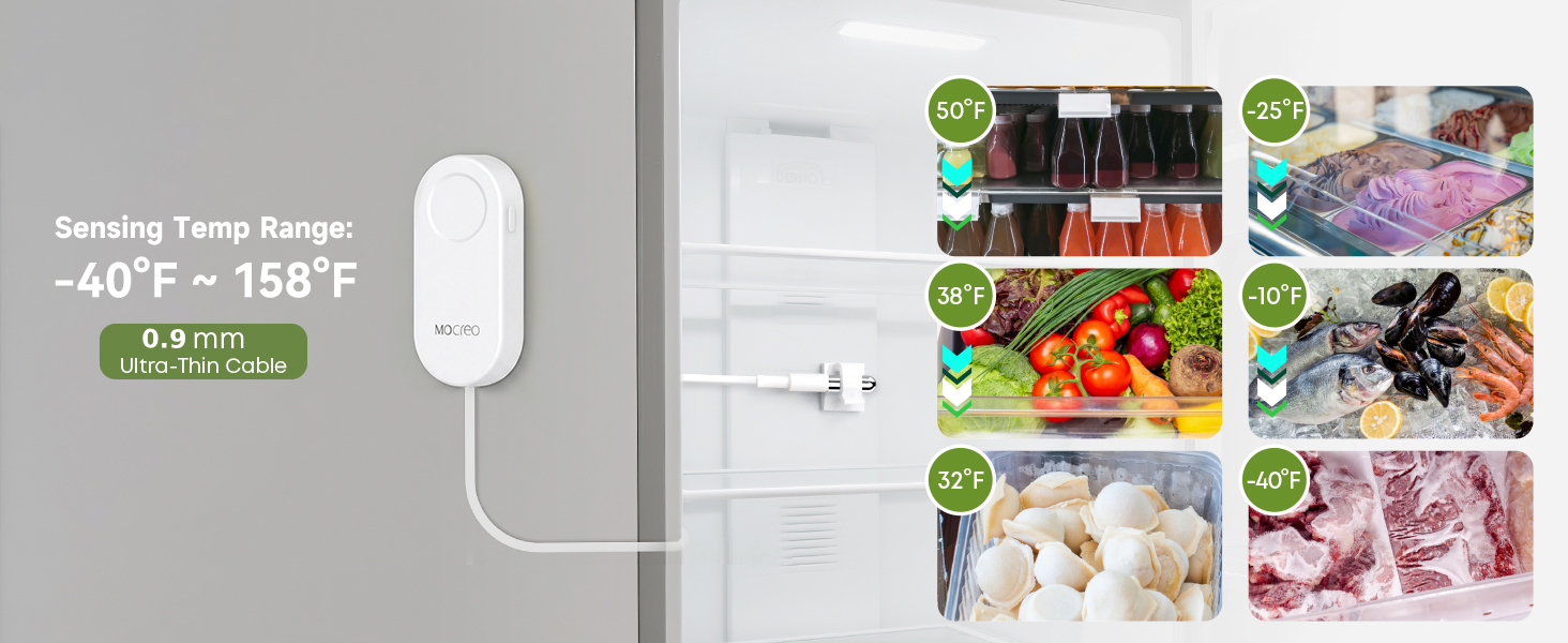 H5Lite-MS2D ultra-flat probe for refrigerator freezer and cold-storage monitoring