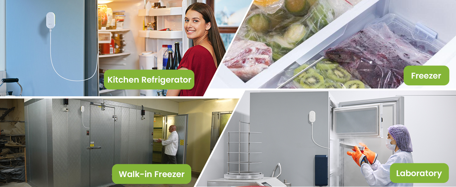 H5Lite-MS2D monitoring scenarios for home and business cold storage